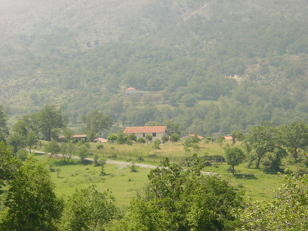 Agriturismo Collevento เตร็คคินา ภายนอก รูปภาพ
