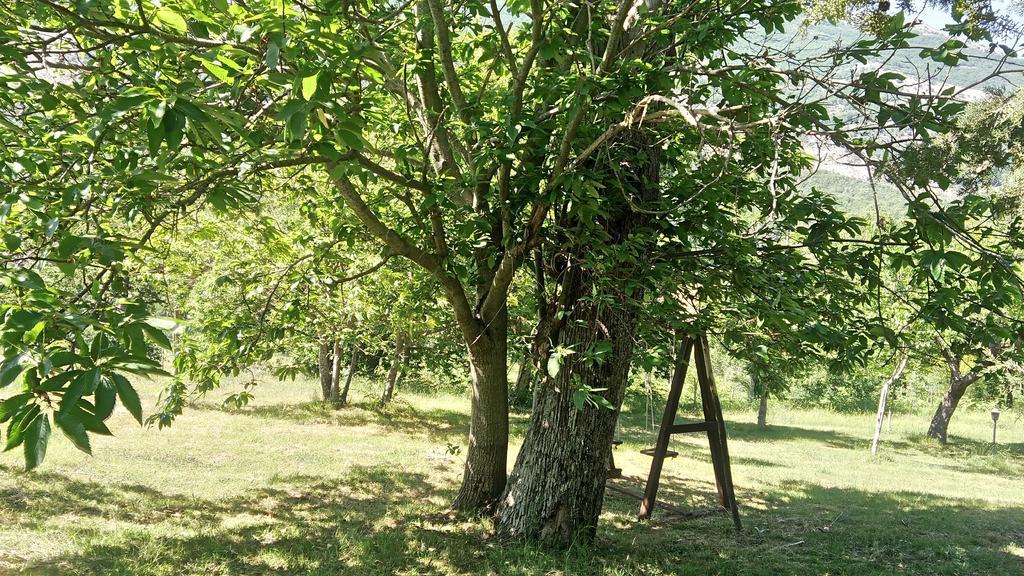 Agriturismo Collevento เตร็คคินา ภายนอก รูปภาพ